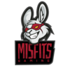 MSF