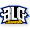  BLG.J