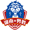 湖南金健