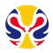 世界杯