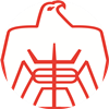 山东队