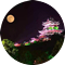 WL中年人