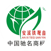 福建安溪铁观音女排