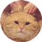 QGunhappy