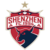 深圳翠园深足U15