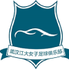 武汉车谷江大