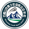 石嘴山体校U13