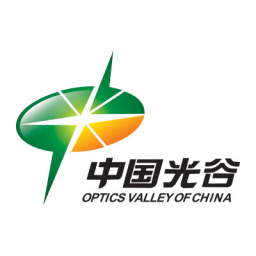 东湖高新区