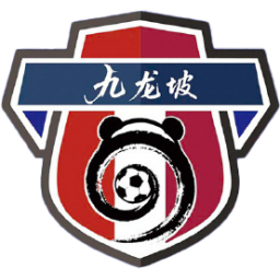 九龙坡区鑫源足球队