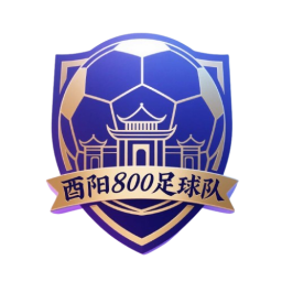 酉阳800队